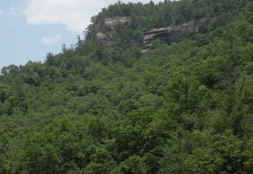 Gladie Creek, Red River Gorge